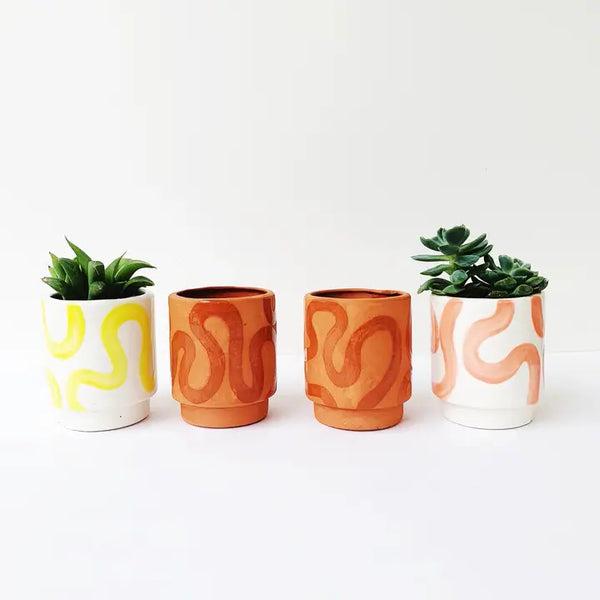 Terra Cotta Squiggle Potted Succulent