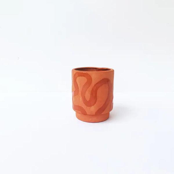 Terra Cotta Squiggle Potted Succulent